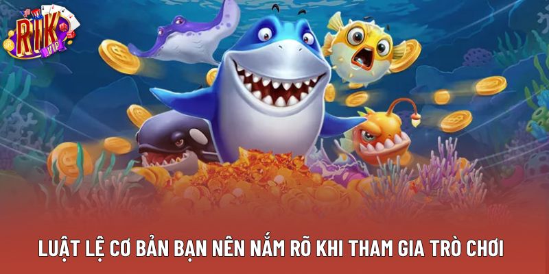 Luật lệ cơ bản bạn nên nắm rõ khi tham gia trò chơi